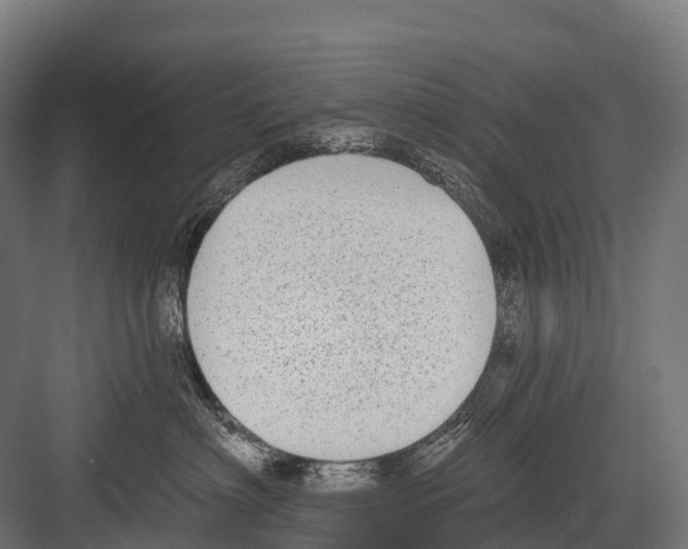 X0000081580622200702121449