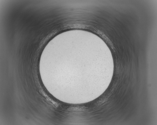 X0000081580625200702121448