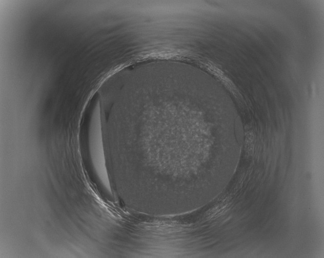 X0000081580626200702121448