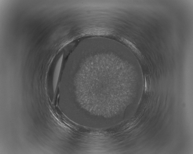 X0000081580627200702121448