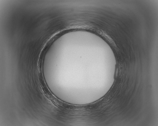 X0000081580628200702121448