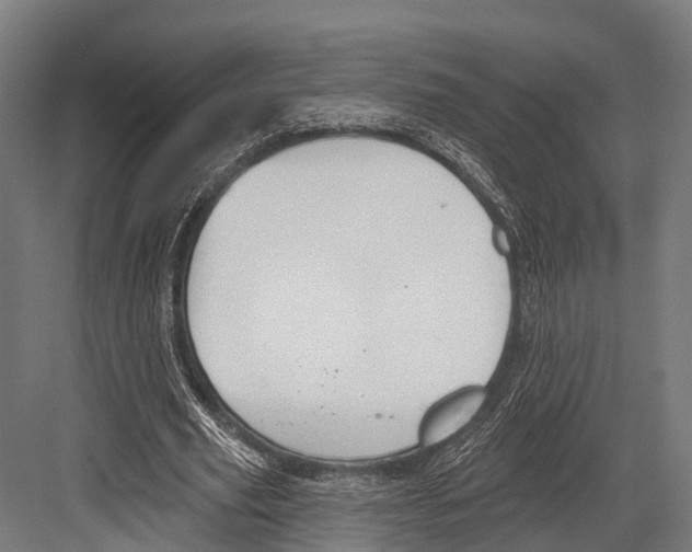 X0000081580629200702121448