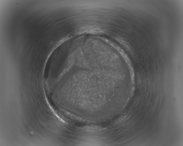 X0000081580630200702121448