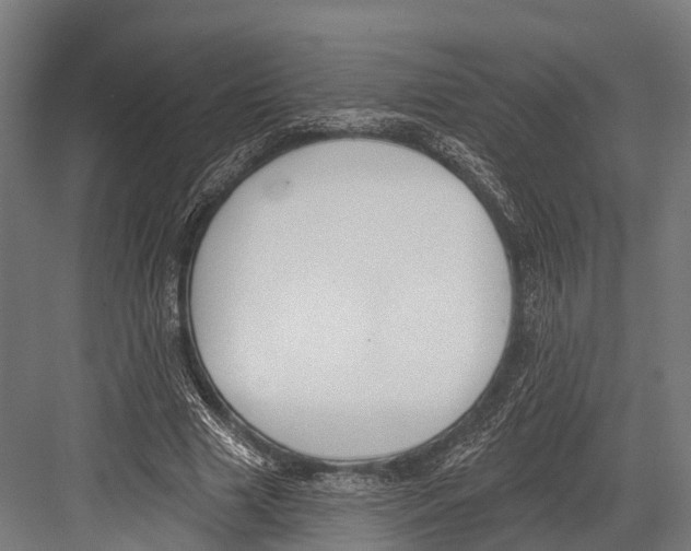 X0000081580633200702121448