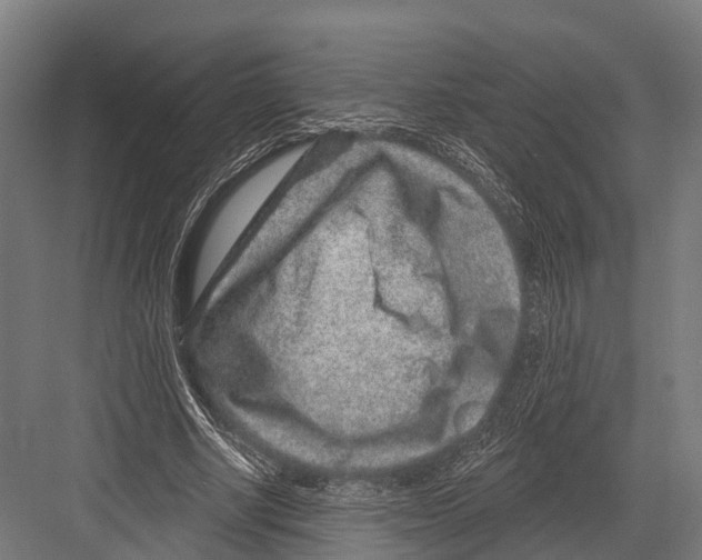 X0000081580634200702121448