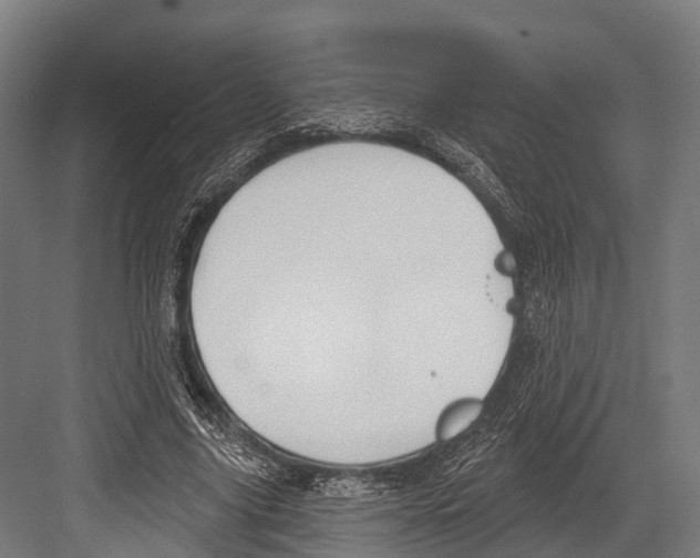 X0000081580635200702121448