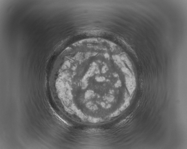 X0000081580637200702121448