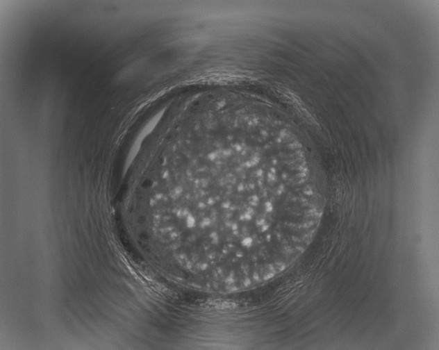 X0000081580640200702121448