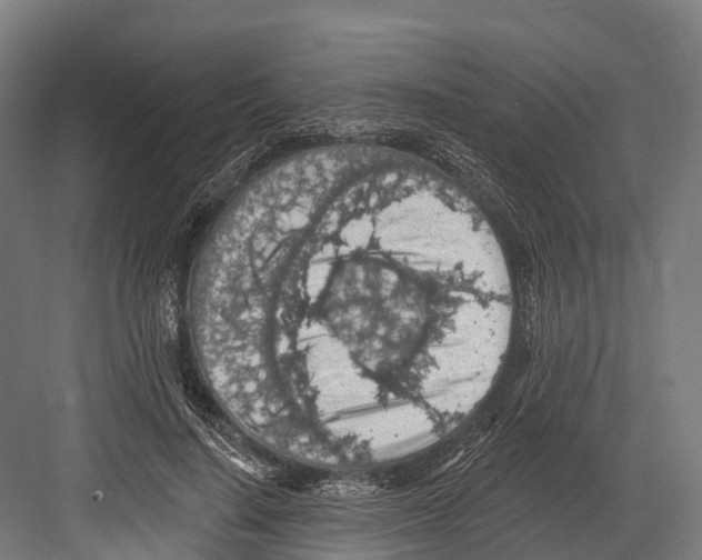 X0000081580644200702121449