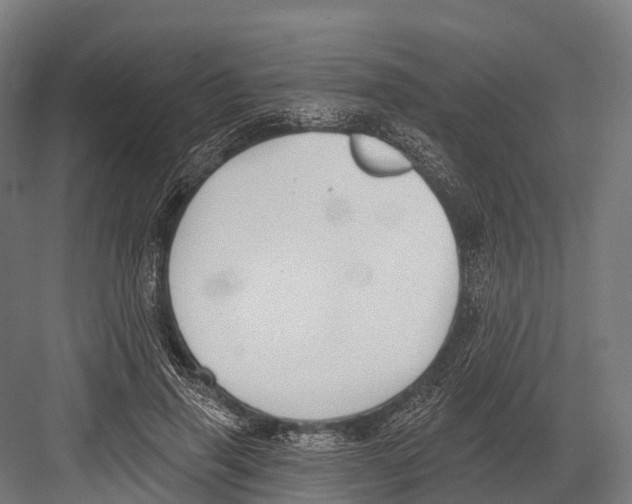 X0000081580645200702121449