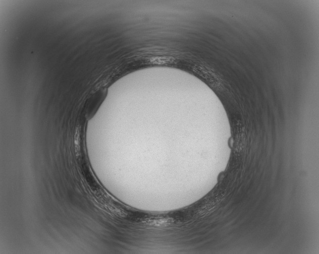 X0000081580646200702121449