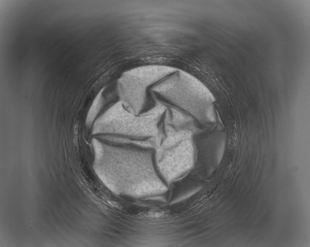 X0000081580647200702121449