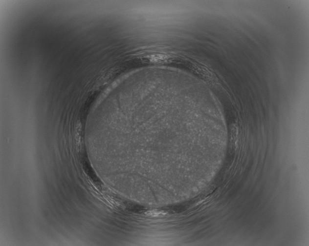 X0000081580650200702121449