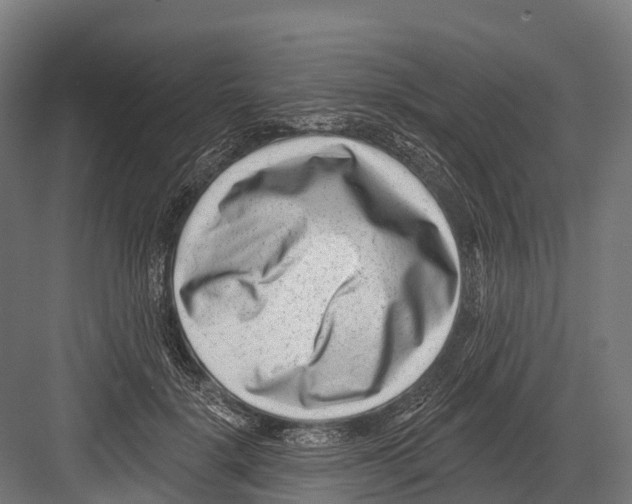 X0000081580652200702121449