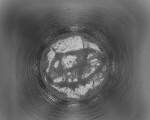 X0000081580653200702121449