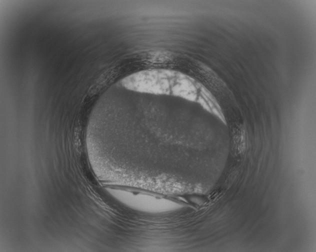 X0000081580654200702121449