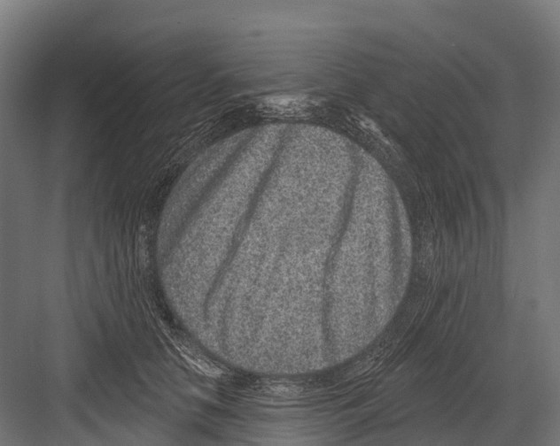 X0000081580658200702121449