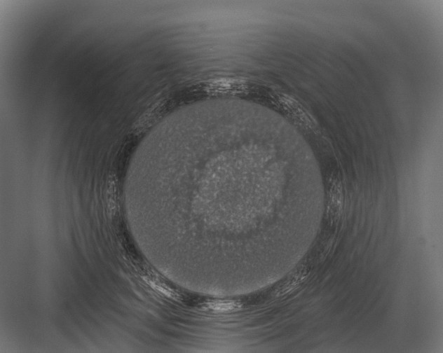 X0000081580659200702121449