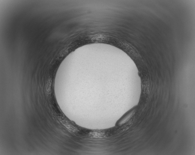 X0000081580660200702121449