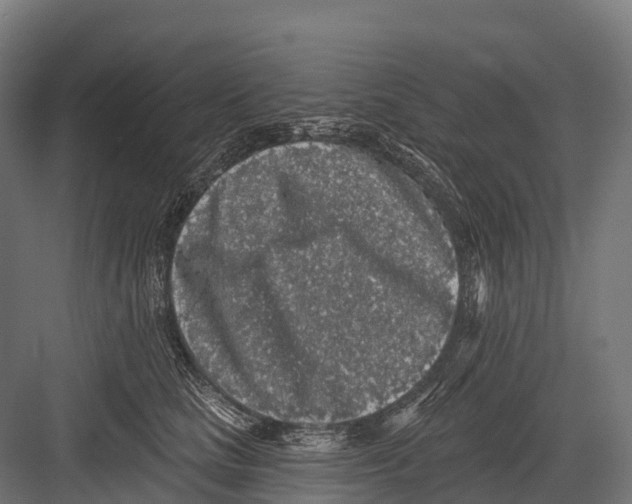 X0000081580661200702121449