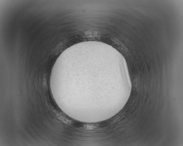 X0000081580662200702121449