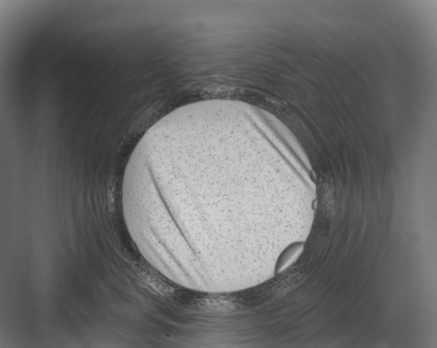 X0000081580668200702121449