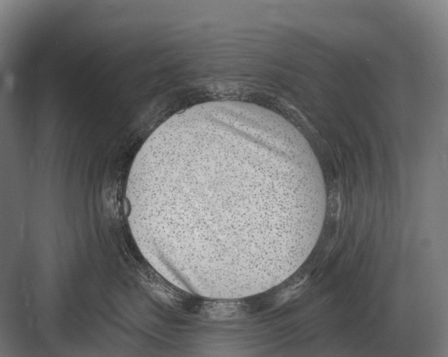 X0000081580671200702121449