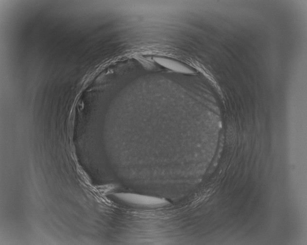 X0000081580673200702121448