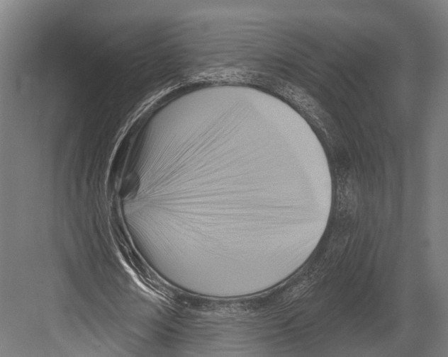 X0000081580674200702121448