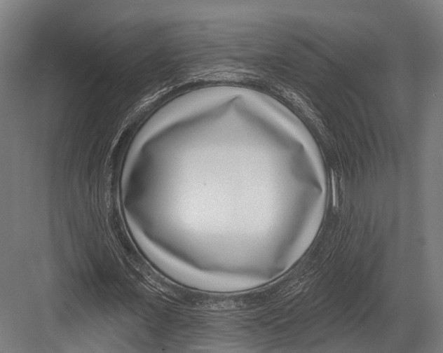 X0000081580675200702121448