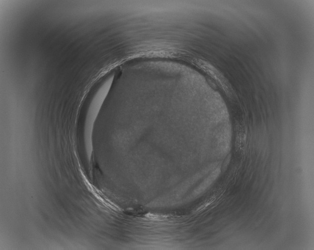 X0000081580677200702121448