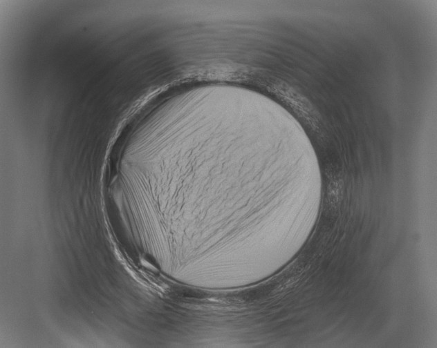 X0000081580678200702121448