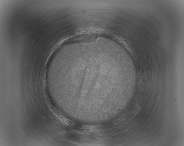 X0000081580679200702121448