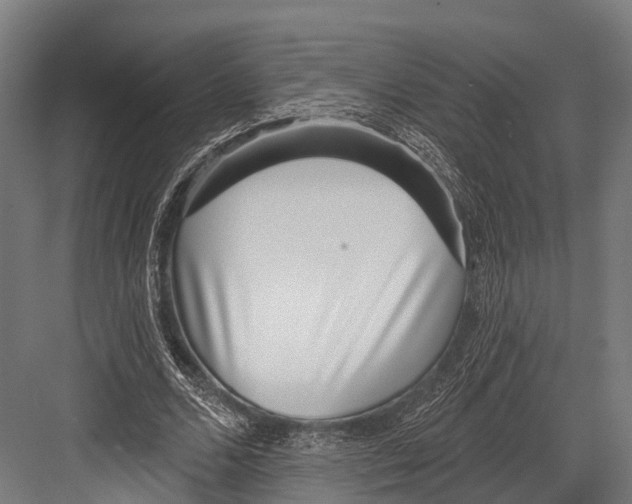 X0000081580680200702121448