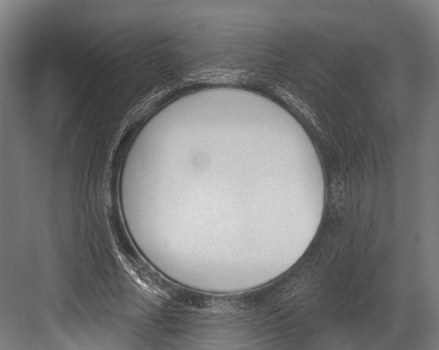 X0000081580682200702121448