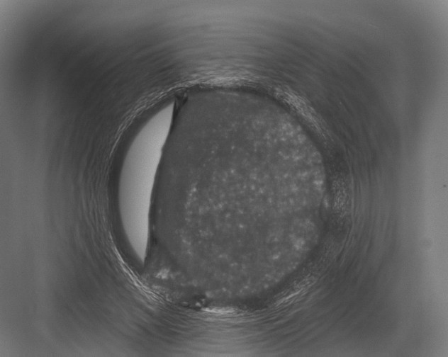 X0000081580685200702121448