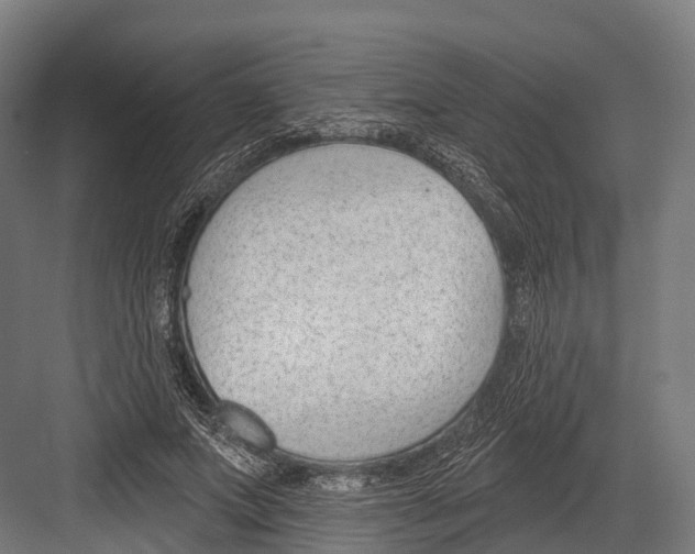 X0000081580687200702121448