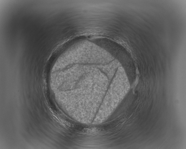 X0000081580688200702121448