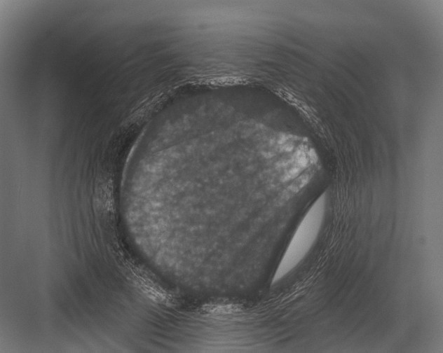 X0000081580689200702121448