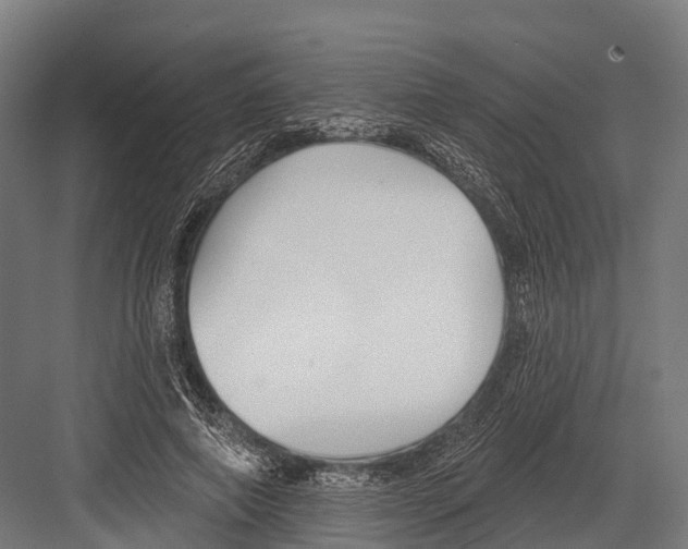 X0000081580690200702121448