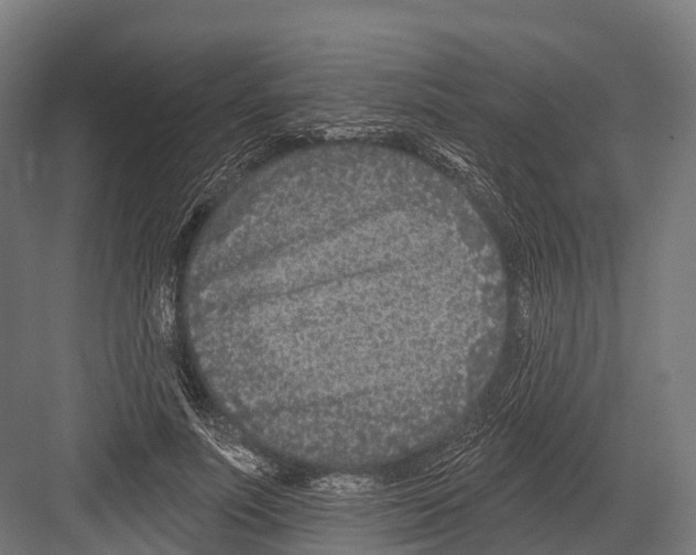 X0000081580691200702121448