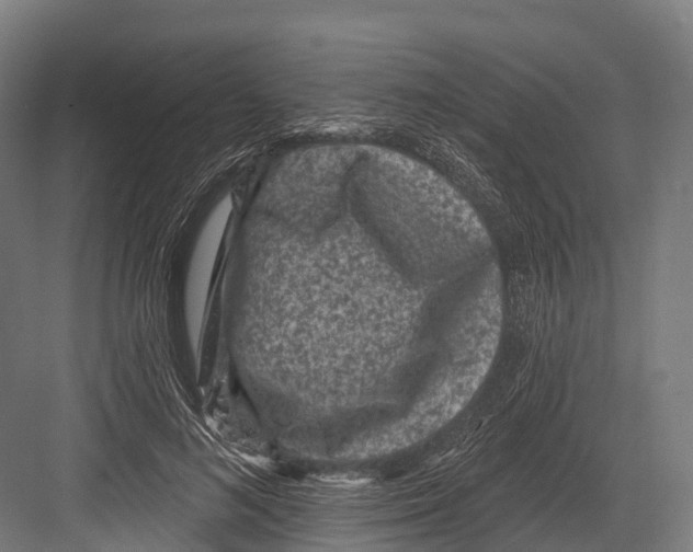 X0000081580692200702121448