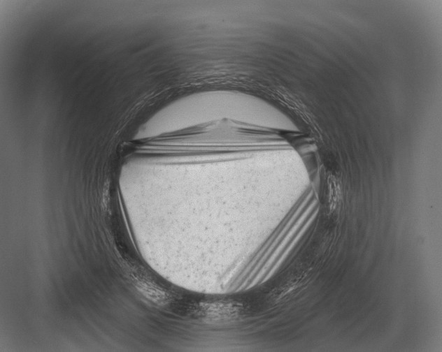 X0000081580693200702121448