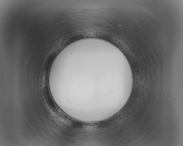 X0000081580694200702121448