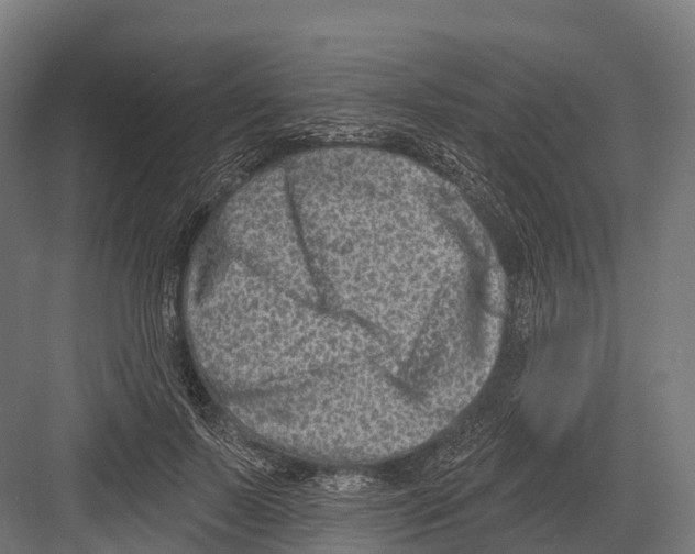 X0000081580695200702121448