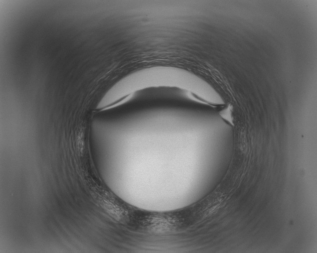 X0000081580697200702121448