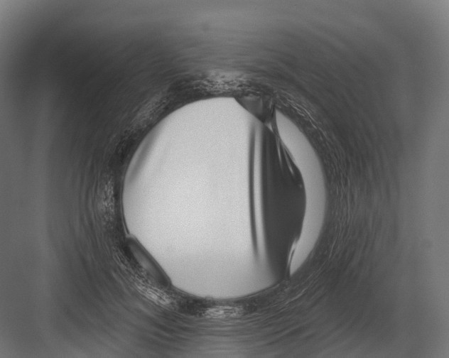 X0000081580700200702121448