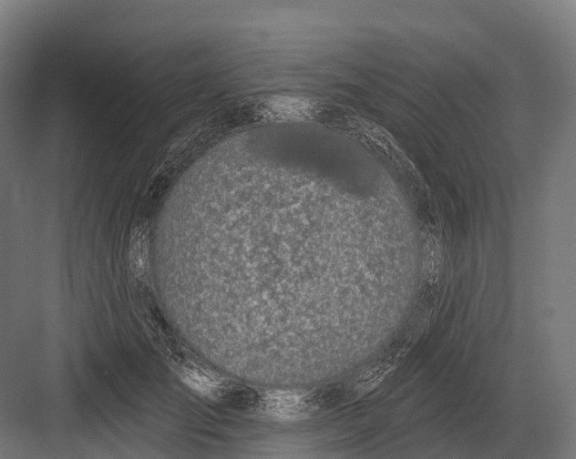 X0000081580701200702121448