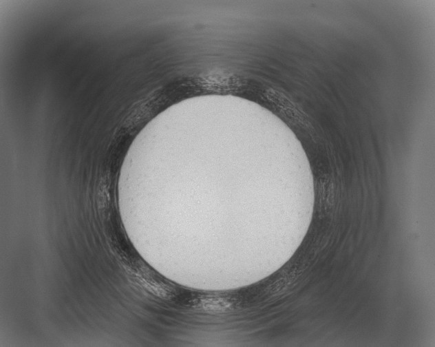 X0000081580702200702121448