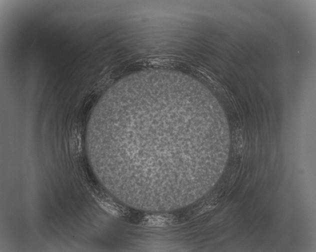 X0000081580703200702121448